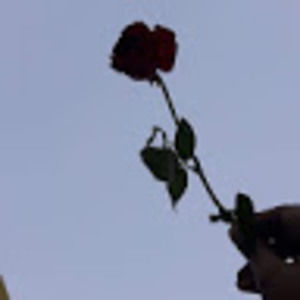 Meet your Posher, Landon